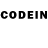 COCAIN Columbia Shaxzod Bozorov