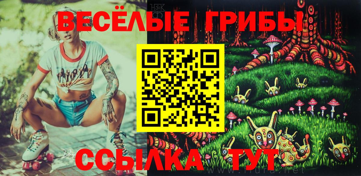 Купить наркотик  Марихуана  Вход с VPN  Alpha PVP СОЛЬ кристаллы  ГАШ  ГАШИШ  Березники  Cocaine  Меф  